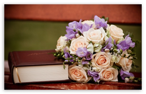 Roses Bouquet And A Book HD wallpaper for Wide 16:10 Widescreen WHXGA WQXGA WUXGA WXGA ;
