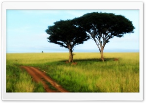Savanna Trees HD Wide Wallpaper for Widescreen