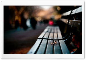 Save My Love For Loneliness HD Wide Wallpaper for Widescreen