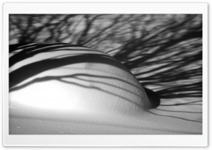 Shadows of the Snow HD Wide Wallpaper for Widescreen