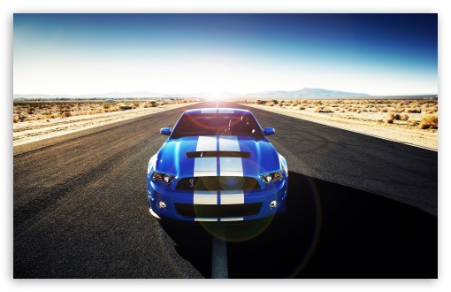 Shelby wallpaper for Wide 16:10 Widescreen WHXGA WQXGA WUXGA WXGA ;