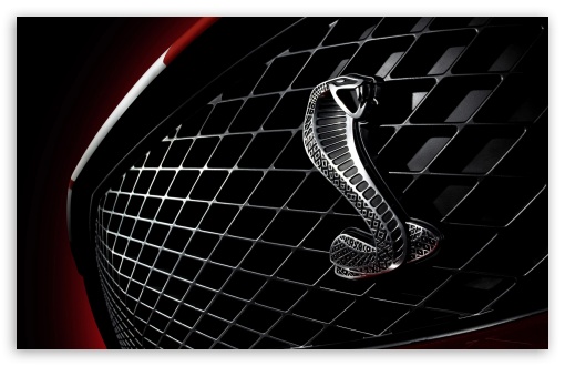 Shelby Badge HD wallpaper for Wide 16:10 5:3 Widescreen WHXGA WQXGA WUXGA WXGA WGA ; HD 16:9 High Definition WQHD QWXGA 1080p 900p 720p QHD nHD ; Mobile WVGA PSP - WVGA WQVGA Smartphone ( HTC Samsung Sony Ericsson LG Vertu MIO ) Sony PSP Zune HD Zen ;