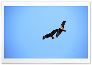 Sky - Lahore - Pakistan HD Wide Wallpaper for Widescreen