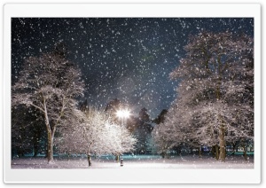Snow At Night HD Wide Wallpaper for Widescreen