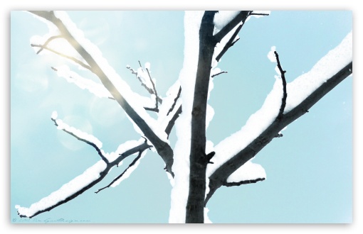 Snowy Tree Background HD wallpaper for Standard 4:3 5:4 Fullscreen UXGA XGA SVGA QSXGA SXGA ; Wide 16:10 Widescreen WHXGA WQXGA WUXGA WXGA ; HD 16:9 High Definition WQHD QWXGA 1080p 900p 720p QHD nHD ; Mobile VGA WVGA iPhone iPad Phone - VGA QVGA Smartphone ( PocketPC GPS iPod Zune BlackBerry HTC Samsung LG Nokia Eten Asus ) WVGA WQVGA Smartphone ( HTC Samsung Sony Ericsson LG Vertu MIO ) HVGA Smartphone ( Apple iPhone iPod BlackBerry HTC Samsung Nokia ) ; Tablet 2 Android ;