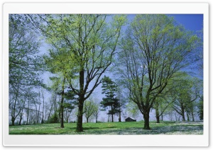 Spring Meadow Lexington Kentucky HD Wide Wallpaper for Widescreen