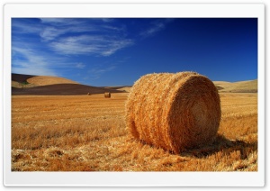 Straw Bale Autumn HD Wide Wallpaper for Widescreen