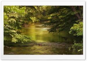 Stream HD Wide Wallpaper for Widescreen