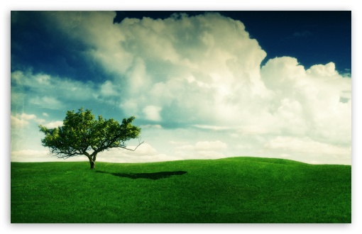 Summer Landscape HD wallpaper for HD 16:9 High Definition WQHD QWXGA 1080p 900p 720p QHD nHD ;