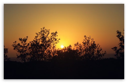 Summer Sunset wallpaper for Wide 16:10 Widescreen WHXGA WQXGA WUXGA WXGA ;