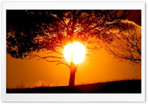 Sun In The Sky 5 HD Wide Wallpaper for Widescreen