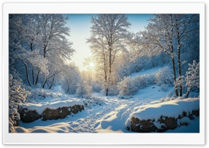 Sunny Winter Day HD Wide Wallpaper for Widescreen