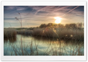 Sunset at Bieslandse Forest HD Wide Wallpaper for Widescreen