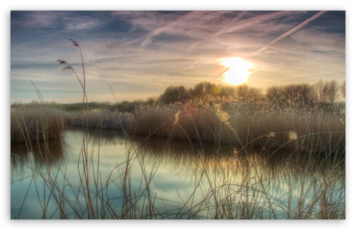 Sunset at Bieslandse Forest HD wallpaper for Wide 16:10 Widescreen WHXGA WQXGA WUXGA WXGA ;