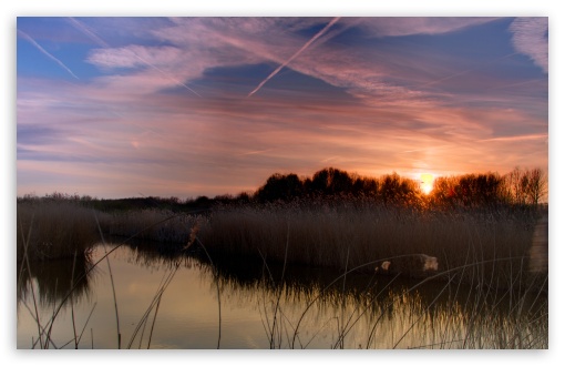 Sunset Bieslandse Forest HD wallpaper for Wide 16:10 Widescreen WHXGA WQXGA WUXGA WXGA ;