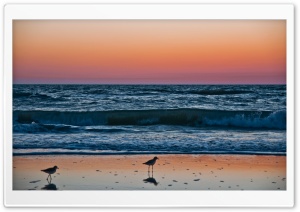 Sunset In Naples, Florida HD Wide Wallpaper for Widescreen