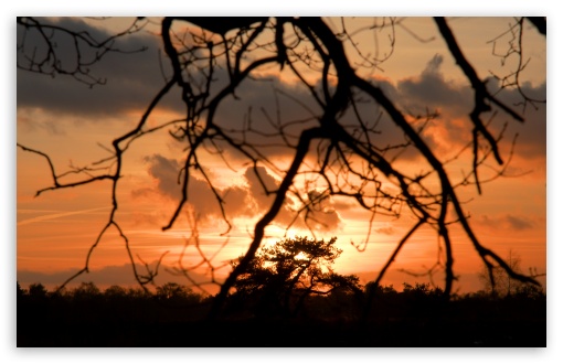 Sunset Wolfheze HD wallpaper for Wide 16:10 Widescreen WHXGA WQXGA WUXGA WXGA ;