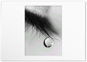 Tear HD Wide Wallpaper for Widescreen