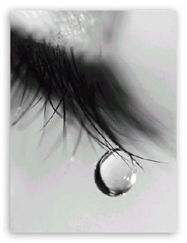 Tear wallpaper for Mobile VGA - VGA QVGA Smartphone ( PocketPC GPS iPod Zune BlackBerry HTC Samsung LG Nokia Eten Asus ) ;