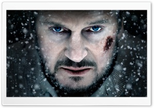 The Grey HD Wide Wallpaper for Widescreen