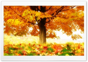 The Joy Of Autumn HD Wide Wallpaper for Widescreen