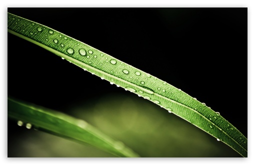 Transparency wallpaper for Wide 16:10 Widescreen WHXGA WQXGA WUXGA WXGA ;
