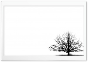 Tree HD Wide Wallpaper for Widescreen