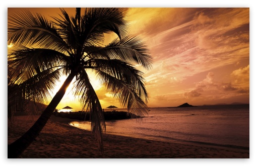 tropical wallpaper. tropical wallpaper desktop