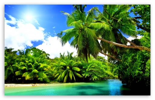 Tropical Island HD wallpaper for Standard 4:3 5:4 Fullscreen UXGA XGA SVGA QSXGA SXGA ; Wide 16:10 5:3 Widescreen WHXGA WQXGA WUXGA WXGA WGA ; HD 16:9 High Definition WQHD QWXGA 1080p 900p 720p QHD nHD ; Other 3:2 DVGA HVGA HQVGA devices ( Apple PowerBook G4 iPhone 4 3G 3GS iPod Touch ) ; Mobile VGA WVGA iPhone iPad PSP Phone - VGA QVGA Smartphone ( PocketPC GPS iPod Zune BlackBerry HTC Samsung LG Nokia Eten Asus ) WVGA WQVGA Smartphone ( HTC Samsung Sony Ericsson LG Vertu MIO ) HVGA Smartphone ( Apple iPhone iPod BlackBerry HTC Samsung Nokia ) Sony PSP Zune HD Zen ;