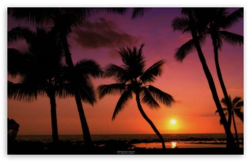 tropical beach sunset wallpaper. Tropical Sunset wallpaper for