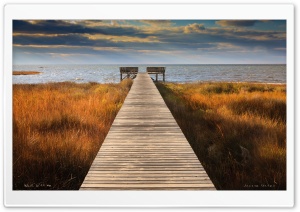 Walk With Me HD Wide Wallpaper for Widescreen