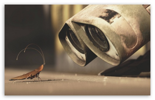 Wall E And A Cricket HD wallpaper for Wide 16:10 Widescreen WHXGA WQXGA WUXGA WXGA ;