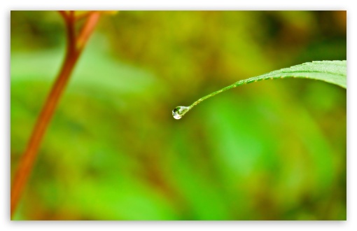 iphone 4 water drop wallpaper. 2 Water Drop wallpaper for