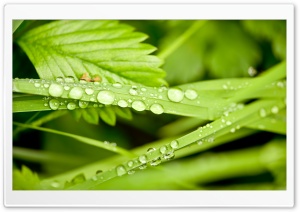 Hd+water+drop+wallpaper