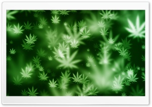 Weed Bokeh HD Wide Wallpaper for Widescreen