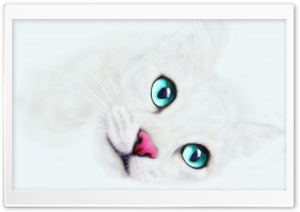 White Cat Background wallpaper