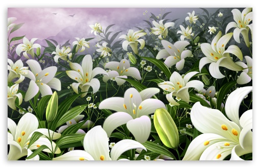 White Lilies HD wallpaper for Standard 4:3 5:4 Fullscreen UXGA XGA SVGA QSXGA SXGA ; Wide 16:10 5:3 Widescreen WHXGA WQXGA WUXGA WXGA WGA ; HD 16:9 High Definition WQHD QWXGA 1080p 900p 720p QHD nHD ; Other 3:2 DVGA HVGA HQVGA devices ( Apple PowerBook G4 iPhone 4 3G 3GS iPod Touch ) ; Mobile VGA WVGA iPhone iPad PSP Phone - VGA QVGA Smartphone ( PocketPC GPS iPod Zune BlackBerry HTC Samsung LG Nokia Eten Asus ) WVGA WQVGA Smartphone ( HTC Samsung Sony Ericsson LG Vertu MIO ) HVGA Smartphone ( Apple iPhone iPod BlackBerry HTC Samsung Nokia ) Sony PSP Zune HD Zen ; Tablet 2 ;