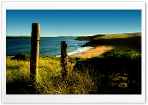 Wild Beach HD Wide Wallpaper for Widescreen
