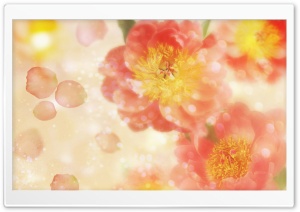 Wild Roses 4 HD Wide Wallpaper for Widescreen