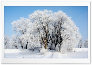 Winter HD Wide Wallpaper for Widescreen