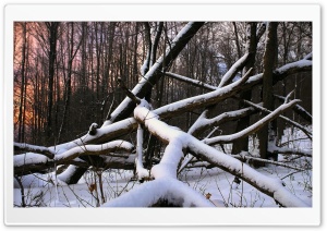Winter Landscape Nature 26 HD Wide Wallpaper for Widescreen
