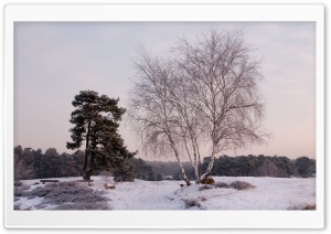 Winter Landscape Nature 7 HD Wide Wallpaper for Widescreen