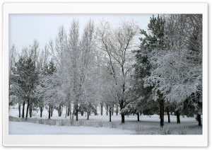 Winter Landscape Nature 9 HD Wide Wallpaper for Widescreen