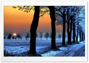 Winter Landscape With Orange Sky HD Wide Wallpaper for Widescreen