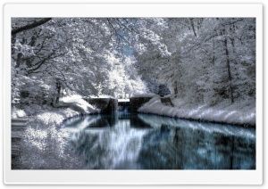 Winter Reflections HD Wide Wallpaper for Widescreen