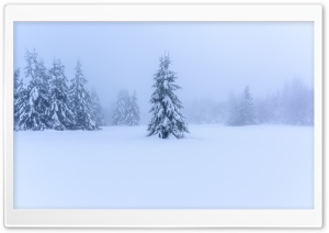 Winter Scenery HD Wide Wallpaper for Widescreen
