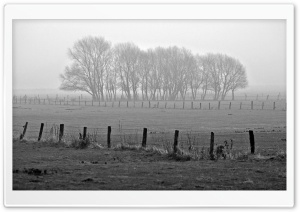 Winter Scenes 2 HD Wide Wallpaper for Widescreen