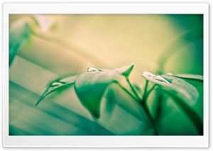 You Are Beautiful HD Wide Wallpaper for Widescreen