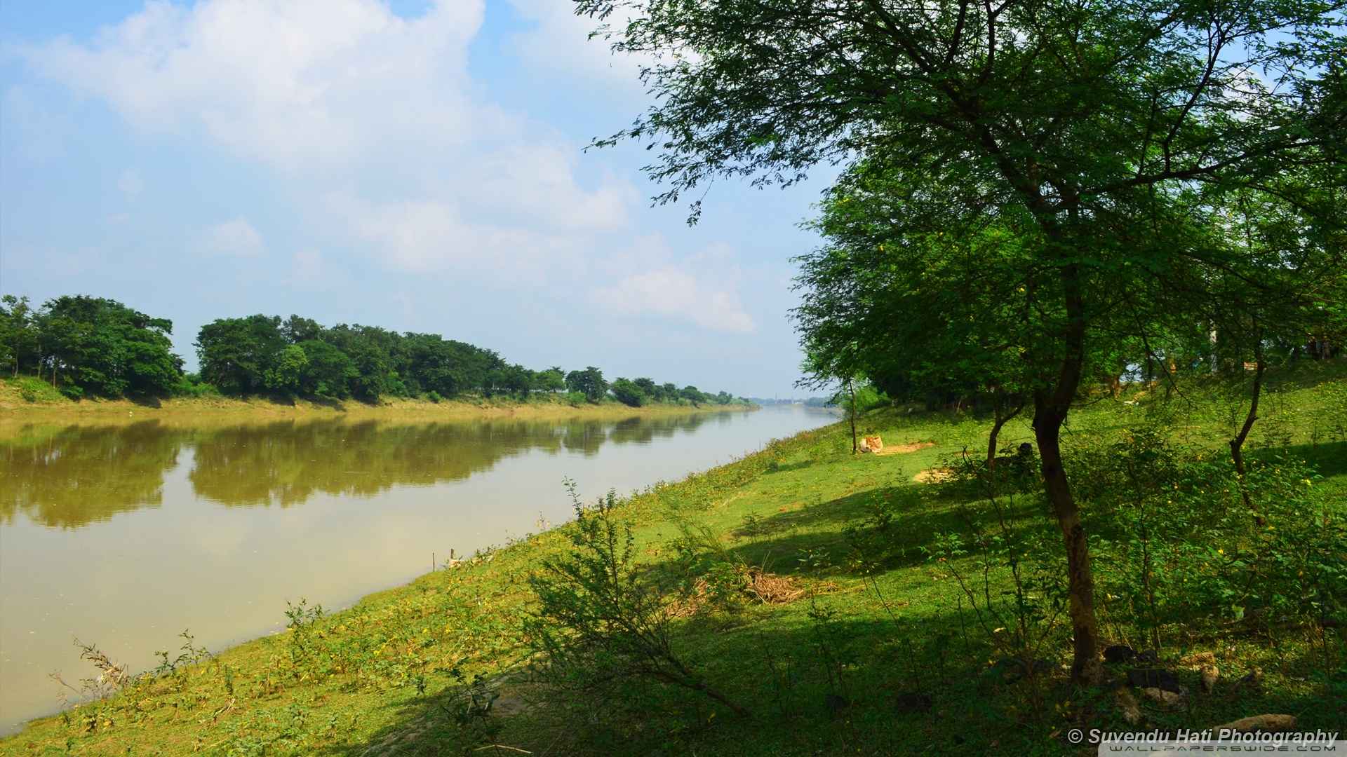 Canal da manu