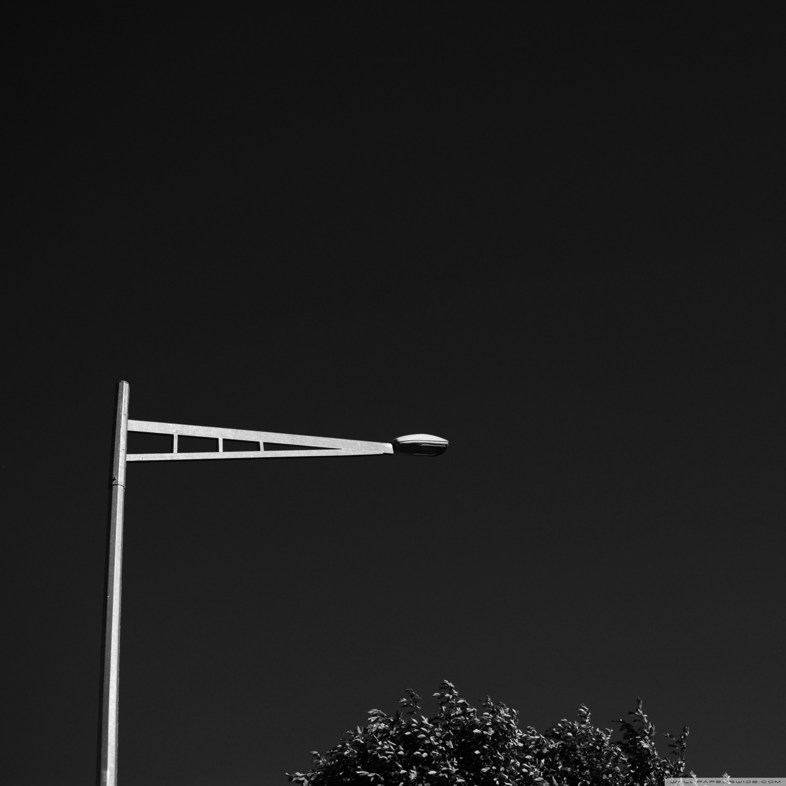 A Street Lamp Black and White Ultra HD Desktop Background Wallpaper for ...